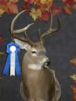 Class IV Winner (Rifle: Deer 6 points & Below) - Samuel S. Old - Score: 147-3/16 - Points: 6 - County of Kill: Craig