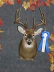 Class VII Winner (Archery: Deer 7 & 8 points) - Randy D. Brookshier - Score: 159-0/16 - Points: 8 - County of Kill: Botetourt