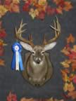 Class VI Winner (Archery: Deer 9, 10, & 11 points) - Tommy R. Watson - Score: 200-8/16 - Points: 11 - County of Kill: Bedford
