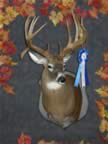 Class V Winner (Archery: Deer 12 points & above) - Brian C. Lytton - Score: 234-15/16 - Points: 16 - County of Kill: Pulaski